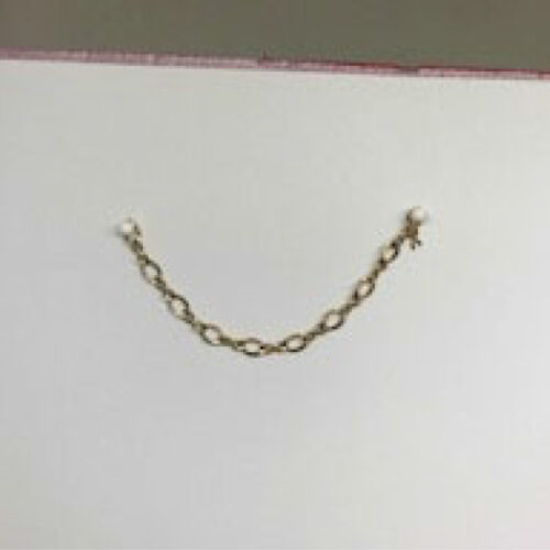 11 A Antique Style Chain