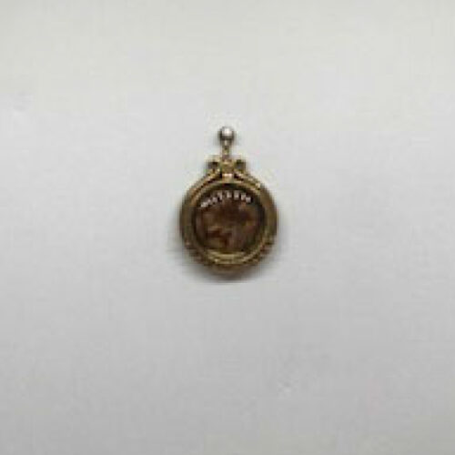 Devotion CP 67 B Hair Case